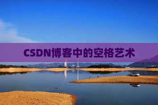 CSDN博客中的空格艺术